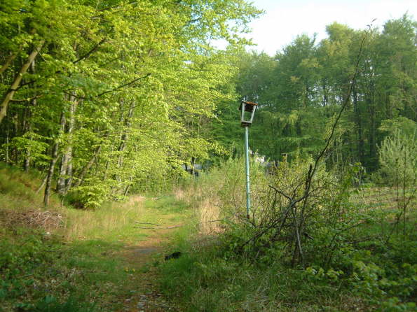 Weg zum Bahnhof